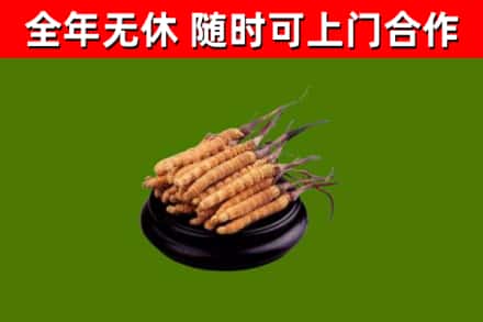 梁平区烟酒回收冬虫夏草.jpg